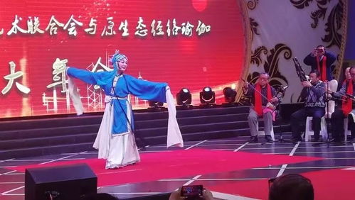 呼市民间文艺团队才艺展示迎新年 文化艺术交流活动